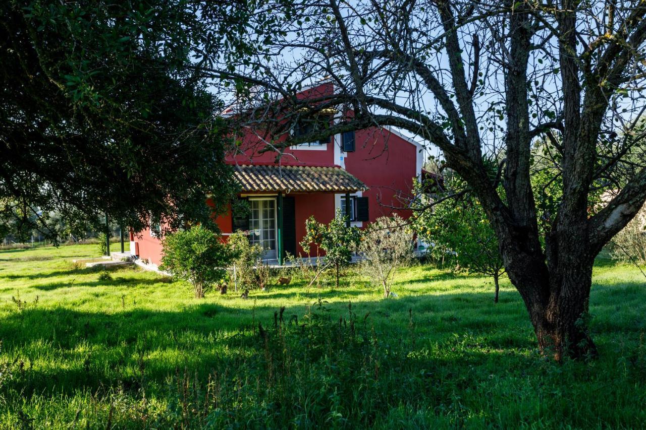Fridas Place CChalikounas Buitenkant foto